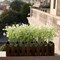 Grand Verde Myosotis Artificial Flowers Real Touch Plastic Faux Bouquets Fake Floral Greenery Stems - 10pcs Bulk